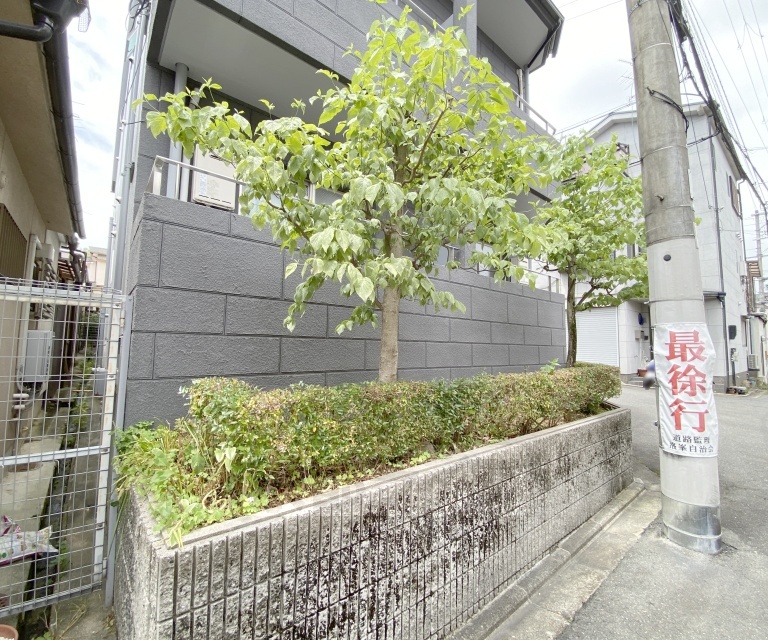 庭