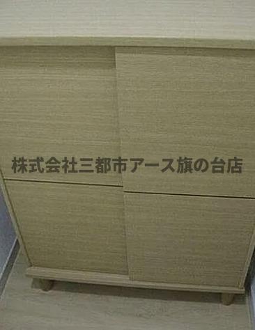 玄関　コアオリベ