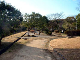 公園　土池公園（公園）まで1434m