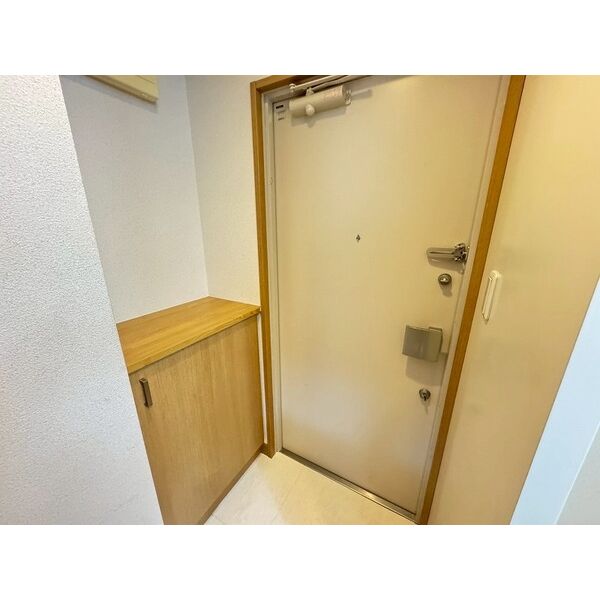 玄関　※このお写真は同物件の別のお部屋のお写真です。現状優先