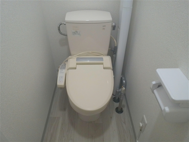 黄金ハイツIのトイレ写真