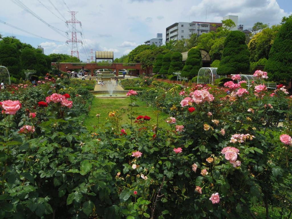 公園　フラワーガーデン（公園）まで400m