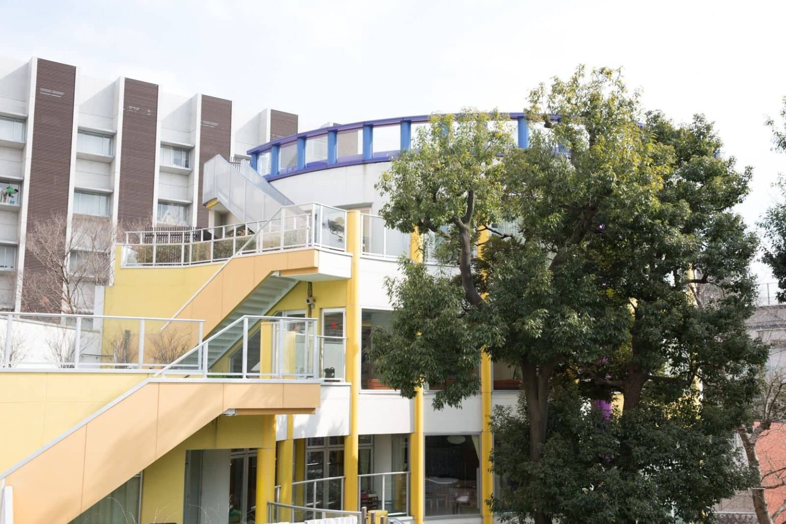 幼稚園・保育園　新宿三つの木保育園もりさんかくしかく（幼稚園・保育園）まで214m