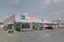 スーパー　新鮮市場マルエイ新鎌ヶ谷店（スーパー）まで250m