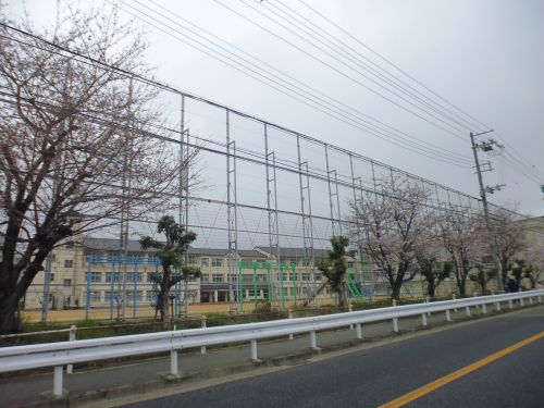 小学校　神戸市立伊川谷小学校（小学校）まで1054m