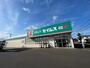 ドラックストア　ドラッグセイムス岩沼館下店（ドラッグストア）まで1200m