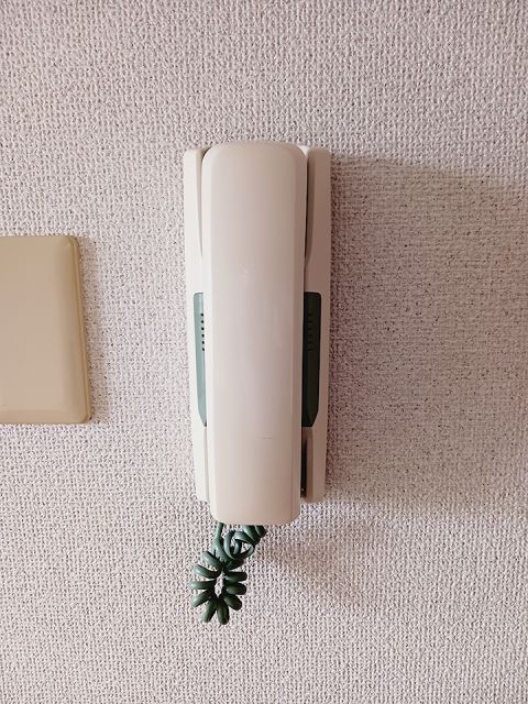 カサグランデ藤江のその他写真