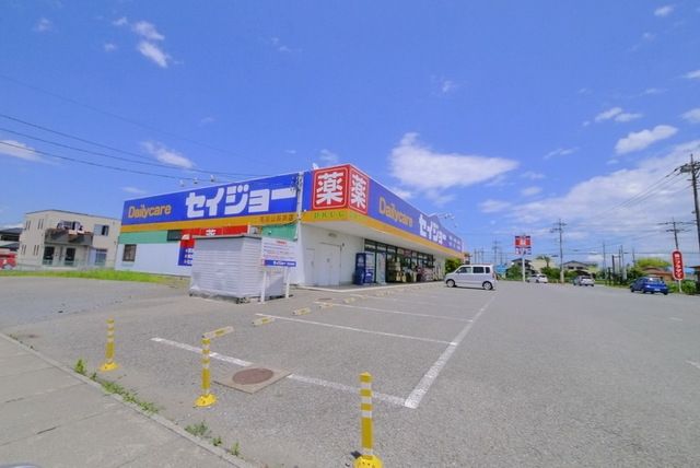 ドラックストア　セイジョー（ドラッグストア）まで1252m