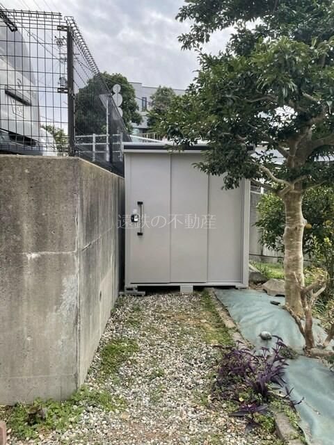 庭