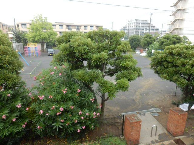 公園　公園（公園）まで200m