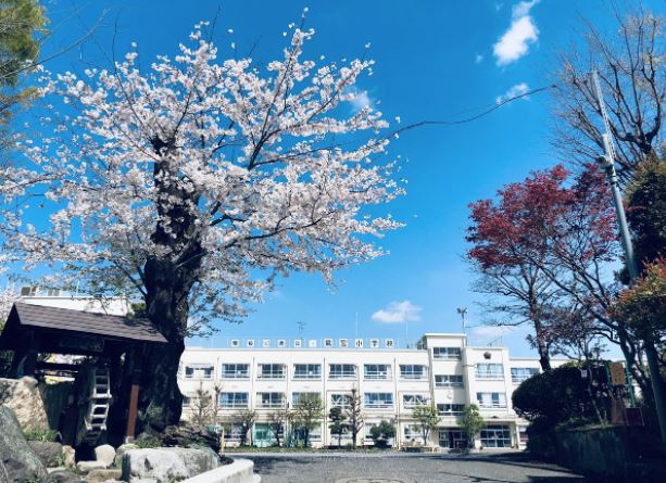 小学校　中野区立鷺宮小学校（小学校）まで661m