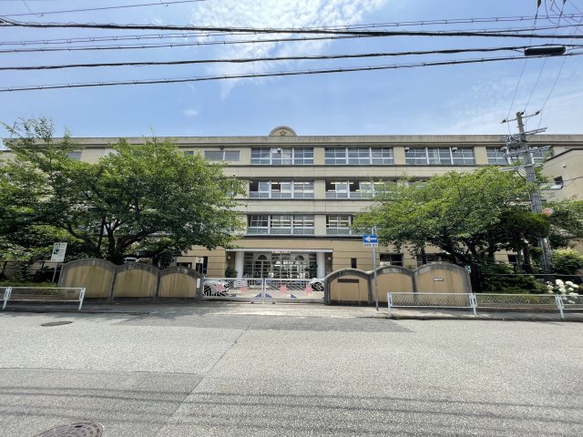 小学校　西宮市立鳴尾小学校（小学校）まで195m