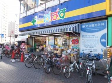 ドラックストア　ぱぱす薬局 千石白山通り店（ドラッグストア）まで217m