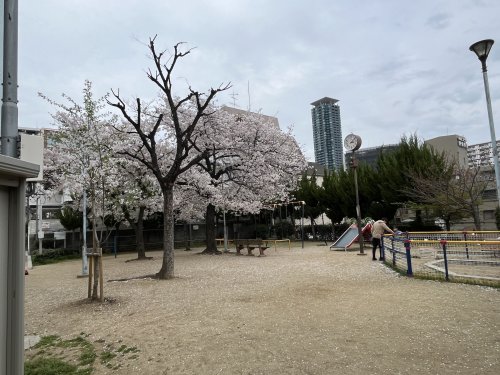 公園　松崎公園（公園）まで275m