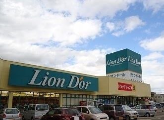 スーパー　リオン・ドール加茂店（スーパー）まで400m