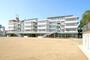 小学校　岡山中央小学校（小学校）まで245m
