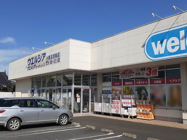 ドラックストア　ウエルシア小美玉羽鳥店（ドラッグストア）まで822m