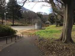 公園　松ケ丘緑地（公園）まで460m