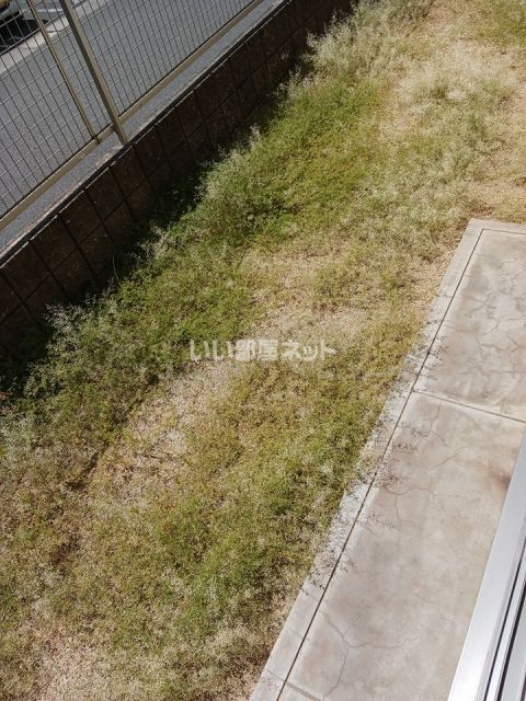 庭
