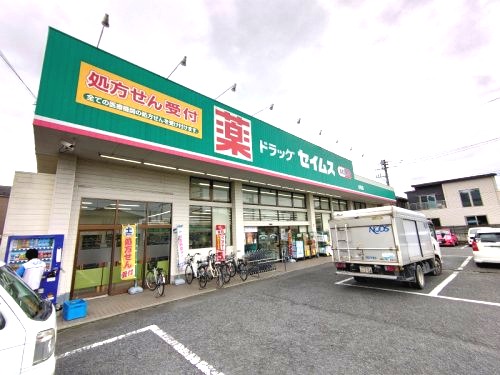 ドラックストア　ドラッグストアセイムス（ドラッグストア）まで745m