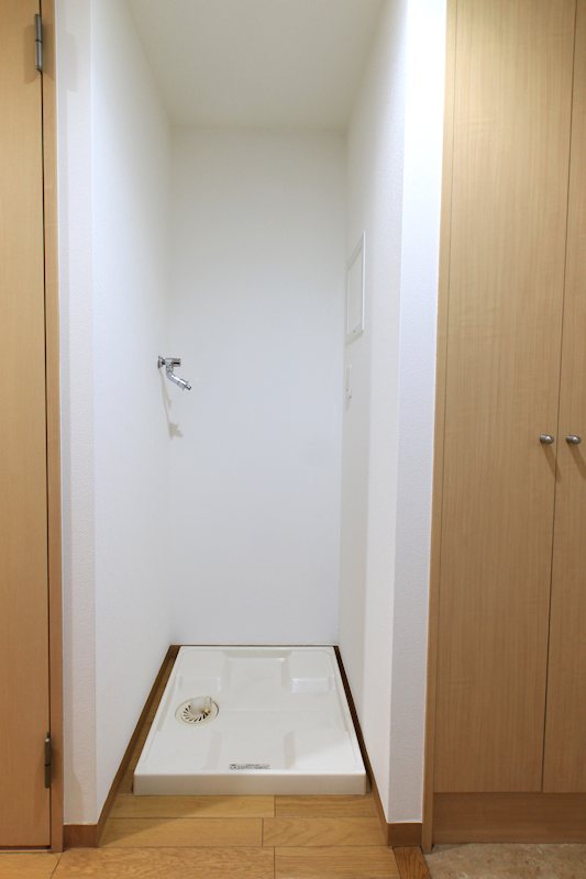 その他部屋・スペース　室内に洗濯機置場があります。