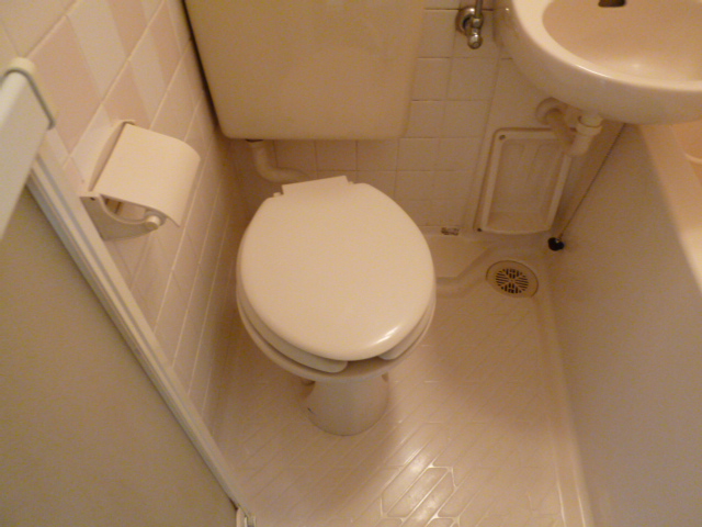 ザラピスのトイレ写真