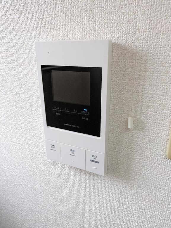 ザラピスのその他写真