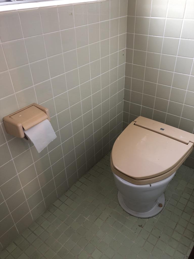 トイレ　汲み取りトイレ