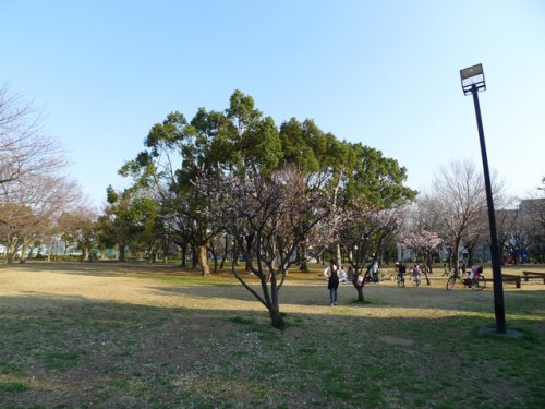 【フラワーフィールドマンションの公園】