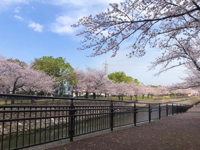 公園　平和市民公園（公園）まで890m