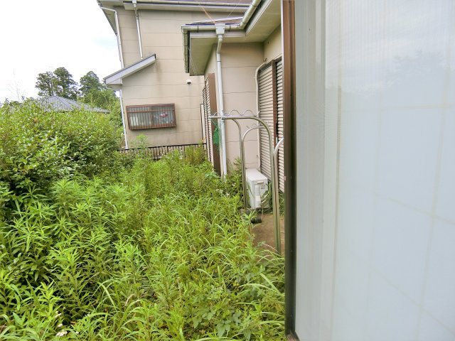 庭