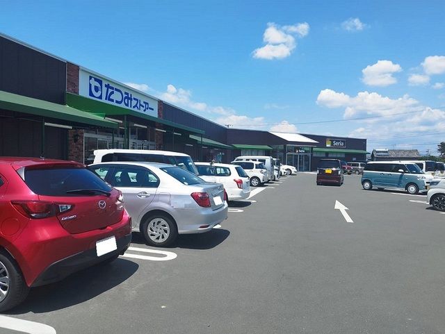 スーパー　たつみストアー・セリア（スーパー）まで1300m