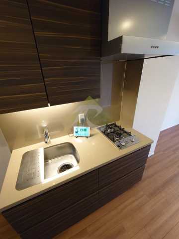 キッチン　ザ・パークハビオ新宿 619