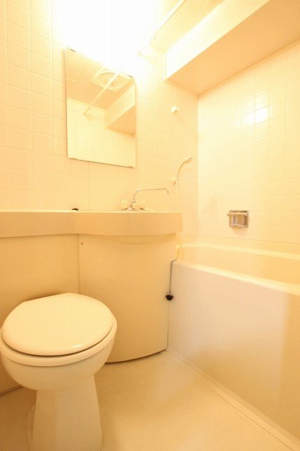 トイレ　同物件、別号室のものです。