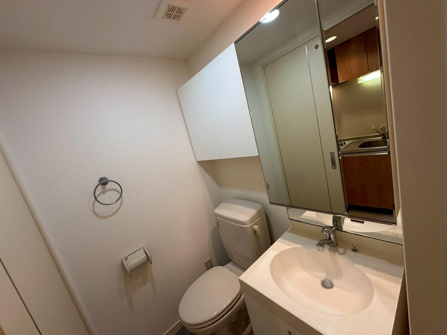 洗面設備　独立洗面台付き(別部屋参考写真)