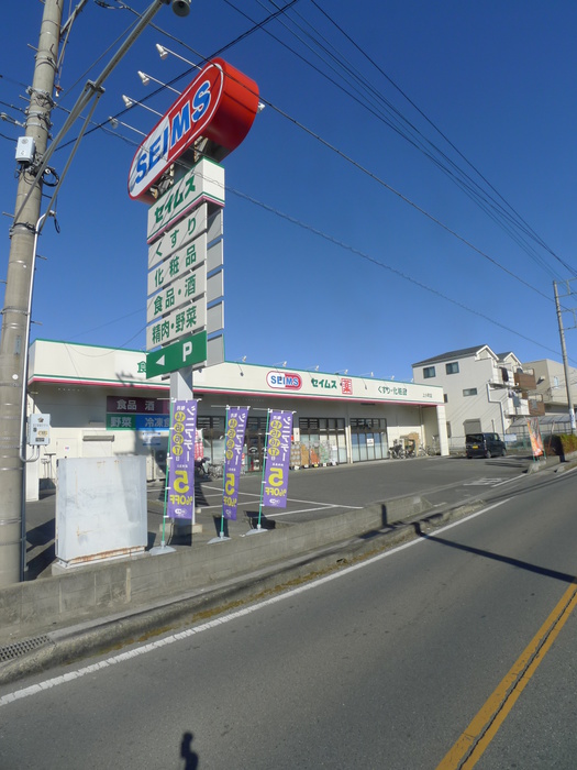 ドラックストア　セイムス（ドラッグストア）まで300m