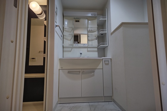 洗面設備　※別部屋の写真です