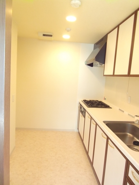 キッチン　～晩ご飯作らなきゃっ～