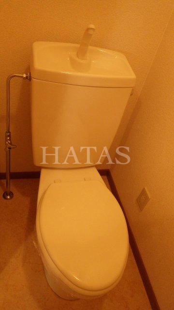 トイレ　同物件別部屋です。