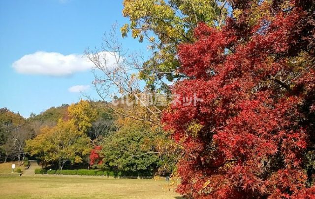 公園　南志津公園（公園）まで1015m