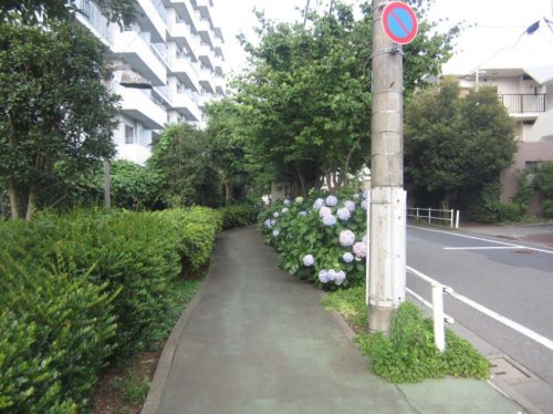 公園　小茂根三丁目緑地（公園）まで503m