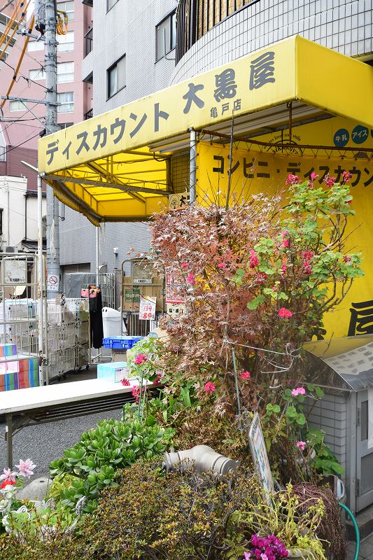 スーパー　大黒屋 亀戸店（スーパー）まで49m
