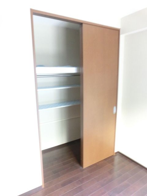 収納　洋室にある収納です