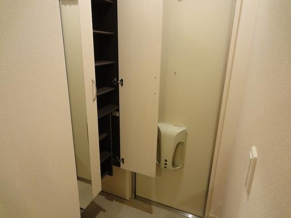 玄関　写真は同一物件の別部屋写真でイメージです