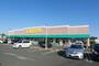 スーパー　いなげや 新座野寺店（スーパー）まで2413m