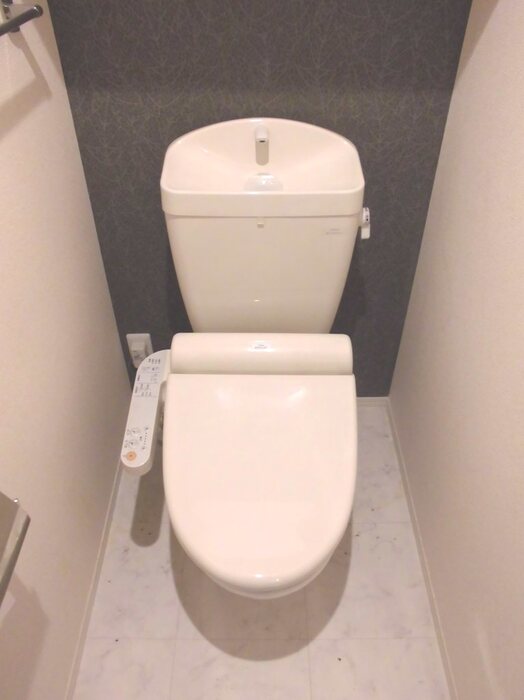 トイレ　※同物件別号室参考写真