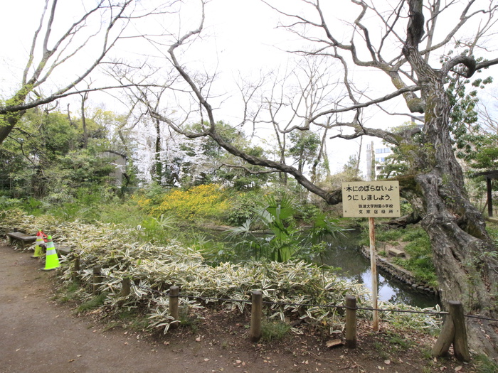 公園　占春園（公園）まで350m