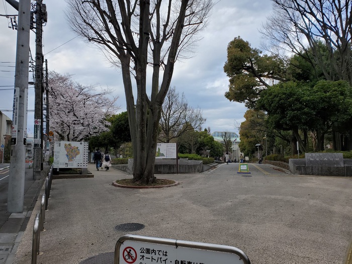 公園　文京区立教育の森公園（公園）まで500m