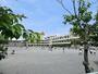 小学校　鎌倉市立第一小学校（小学校）まで1020m