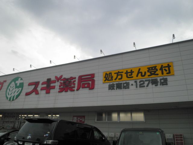 ドラックストア　スギ薬局岐南店（ドラッグストア）まで1252m